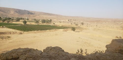 ارضيه زراعيه