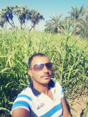 عمل