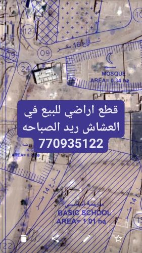 للبيع 6لبن العشاش ريد الغربيه