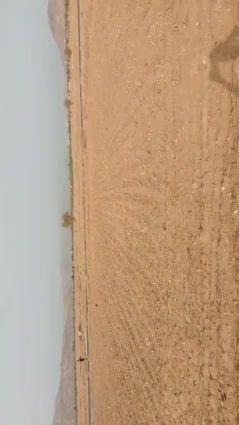 عبس