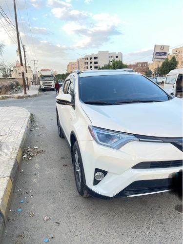 راف فور كرت 