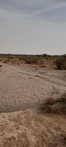 اراضي للبيع