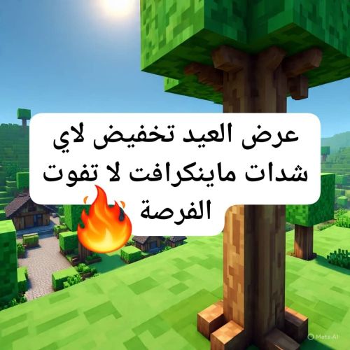 اشحن عملات ماينكرافت الان واستمتع