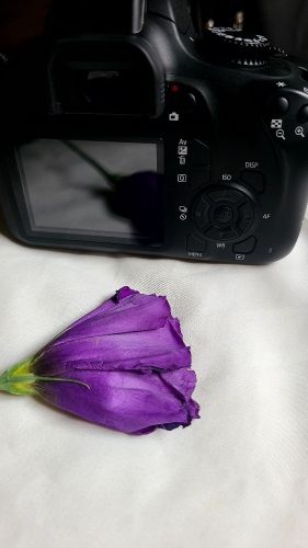 كاميرا احترافيه عاليه الجوده