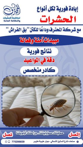 مكافحة بق الفراش "الكتن"في صنعاء