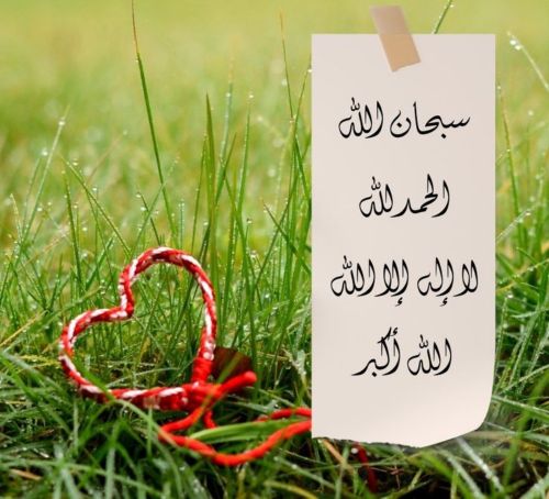 نبحث عن مسوقين ومسوقات