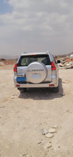 برادو