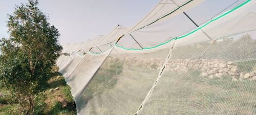 بيوت محميه الخاصة بالقات