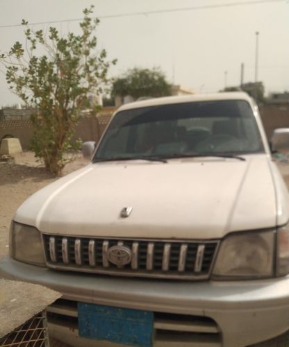 برادوا عرطة فل كامل