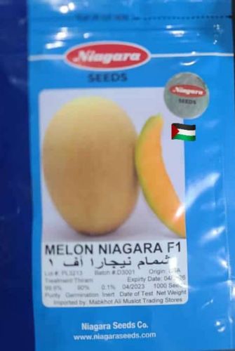 بذور زراعية/بذور شمام نيجارا أف1