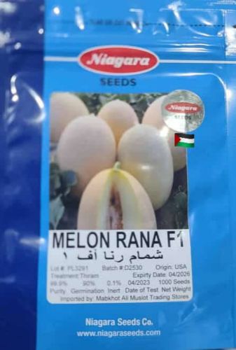 بذور زراعية/بذور شمام رناء أف1