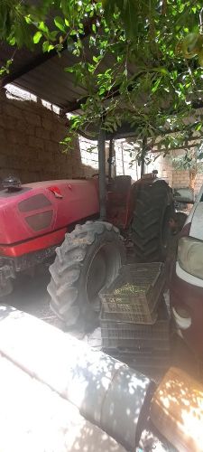 محمد