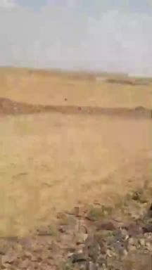 احلا قطع اراضي بالمنقب