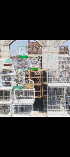 اقفاص او محميه او حضيره