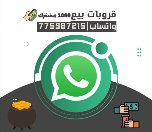 بيع مجموعات واتساب .