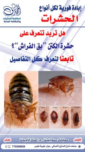 هل تريد تتعرف على الكتن بق الفراش