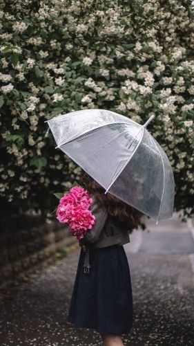 شمسية مظله مطرية شفاف