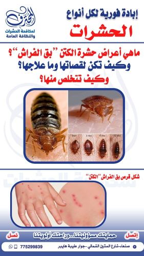 شاهد حشرة الكتن "بق الفراش"