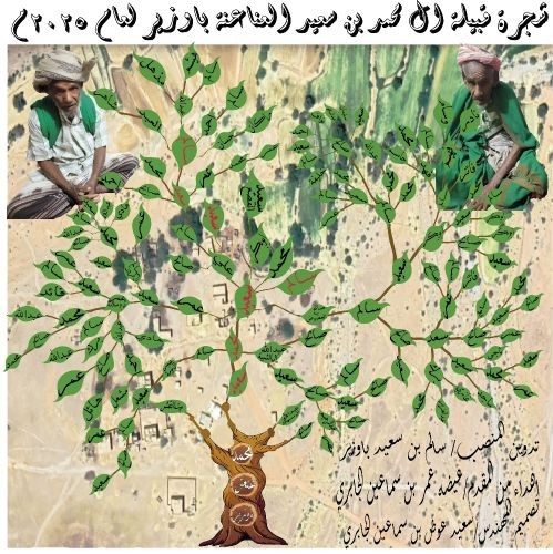 تصميم اشجار العوائل والقبائل