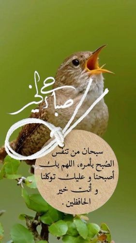 ارض زراعيه في  بيت الفقيه