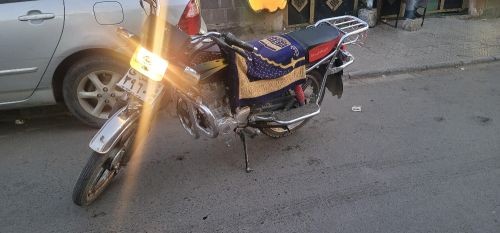 الامير رقم1 الثعبان السعر250 الف