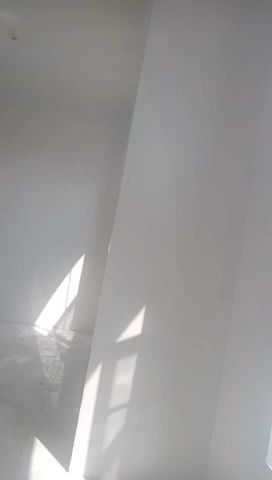 أحمد البيضاني