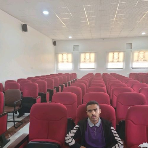 المحترفون للهنداسة الكهربائية