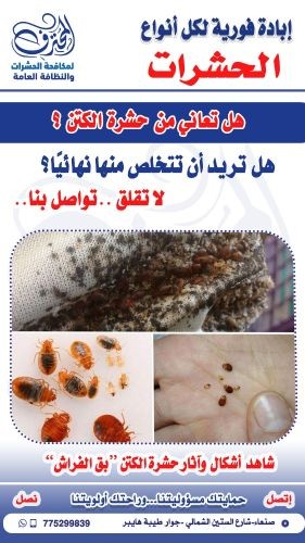 هل تريد أن تتخلص من حشرة الكتن؟؟