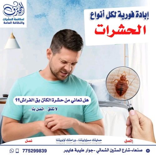 إبادة فورية لحشرة الكتن بق الفراش