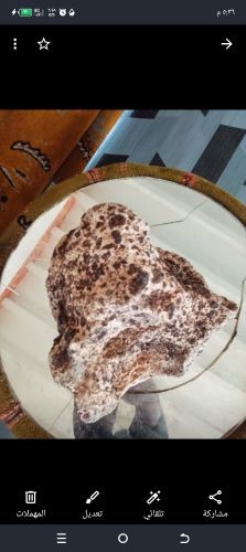 نيزك قمري