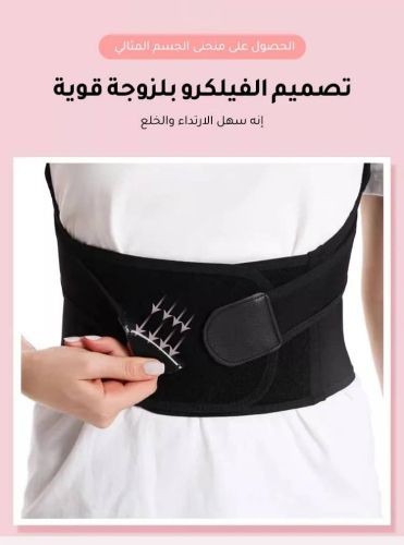حزام  الظهر