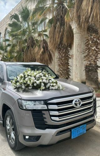 صوالين بردو رفور توسان يارس فرش
