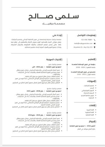 تصميم سيرة ذاتية احترافية