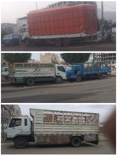 دينات وخدمات نقل متميزة