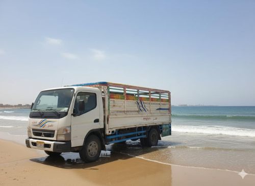 نقل عام (بضائع _ اثاث)