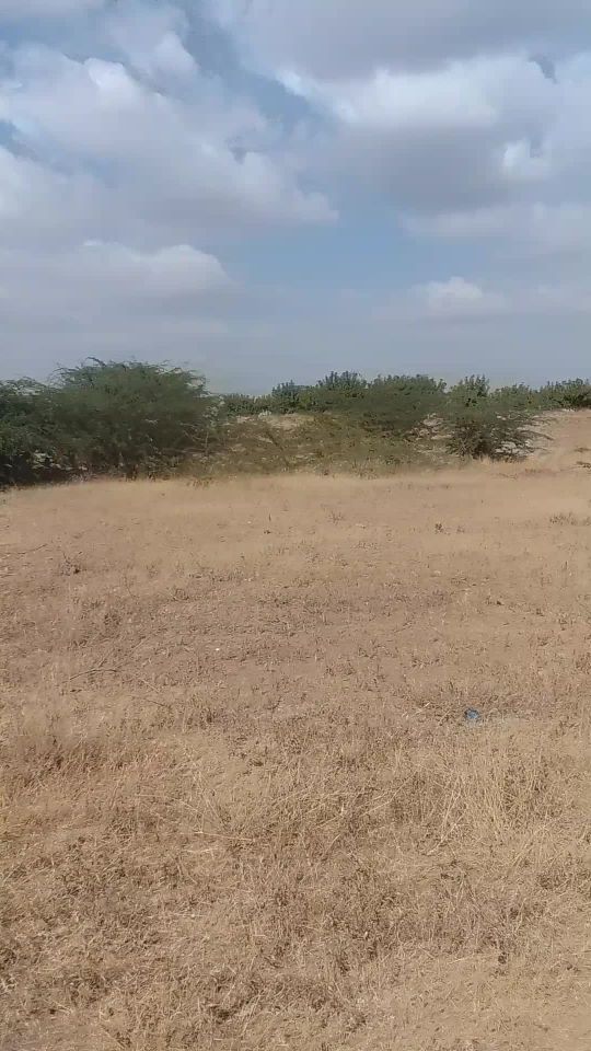 محمد عبدالله شالم يحي قرشي