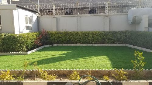 عشب صناعي