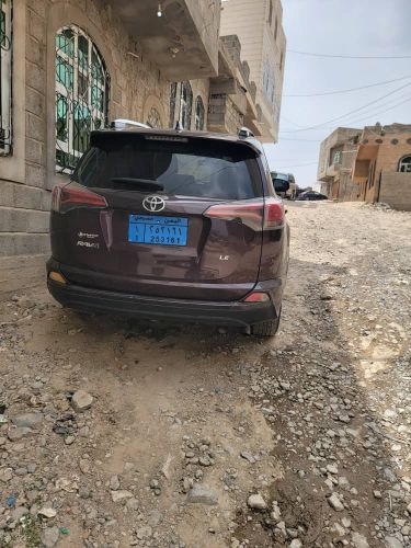 كيان كارز اختيارك الامثل