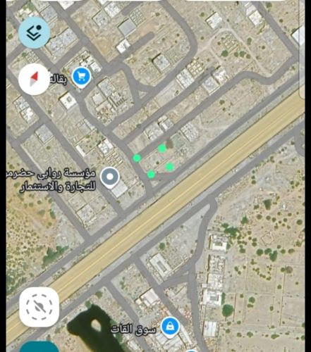 زيد العلوي