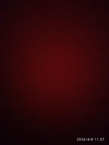 علي الشامي