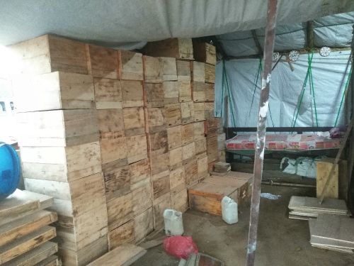 خلايا ل النوب سعر الحبه 5000