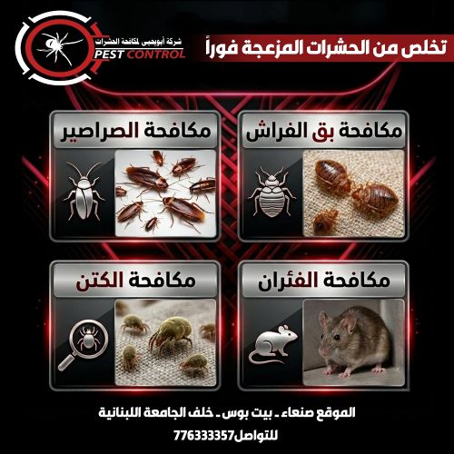 شركة ابو يحيى مكافحة الحشرات صنعا