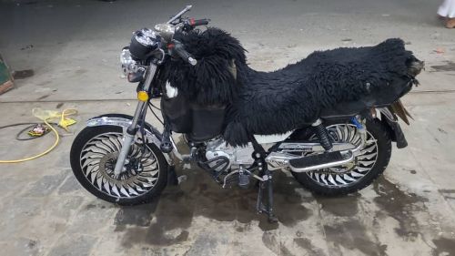 متر المقداد