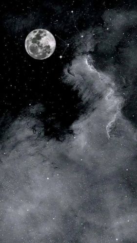 ابحث عن عمل