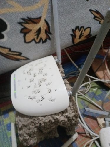 شبكه