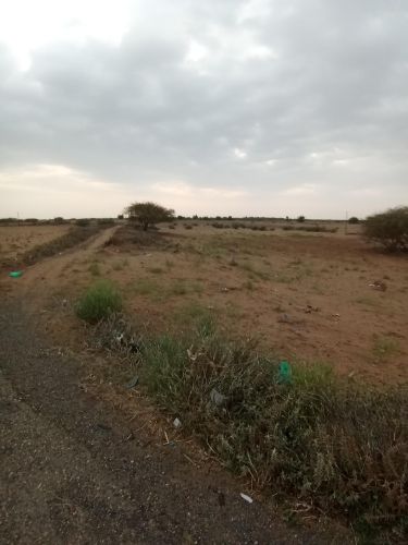ارض للبيع