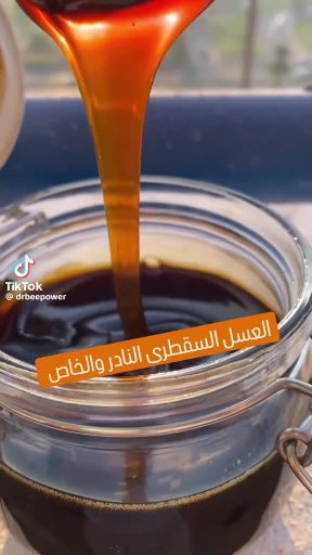 عسل  سقطرئ