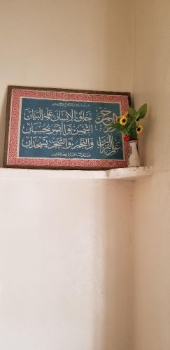 صور ومزهريات