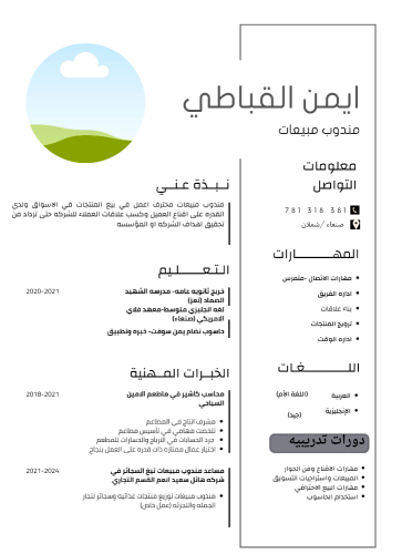 مندوب مبيعات