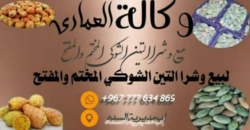 التين الشوكي